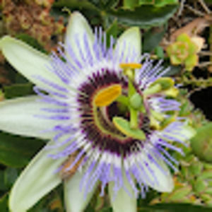 Meet your Posher, Gerry